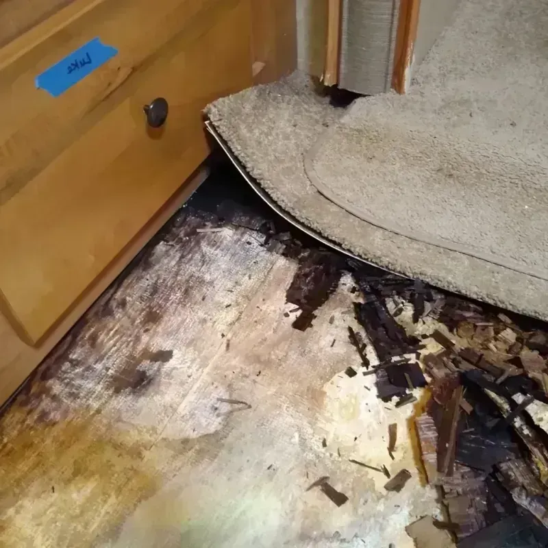 Wood Floor Water Damage in Heath, OH